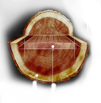 2024新澳门原料大全